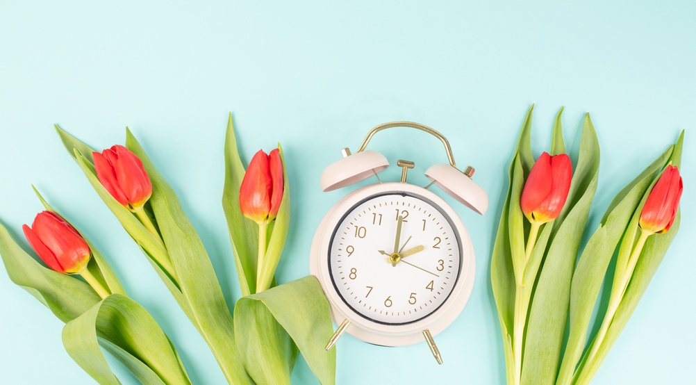 Spring Forward, Stay Grounded Through Daylight Saving